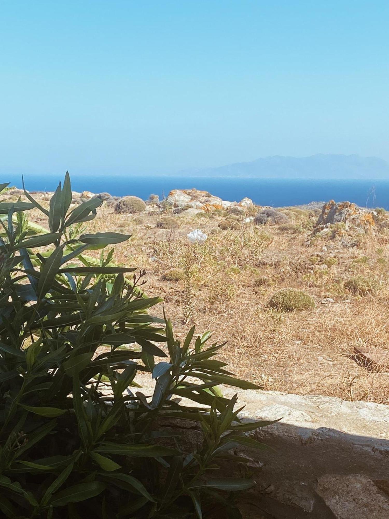 Naira Family Suites Mykonos Mykonos Town Zewnętrze zdjęcie